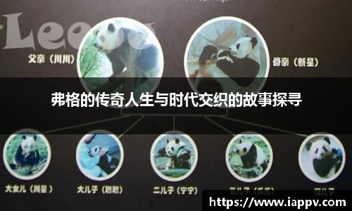 弗格的传奇人生与时代交织的故事探寻