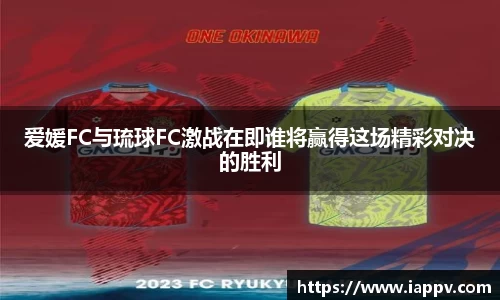 彩神VI首页官网